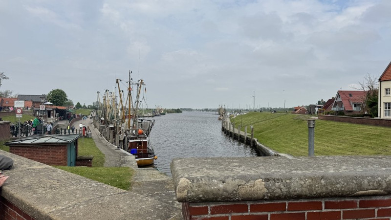 k-IMG_2208.jpg