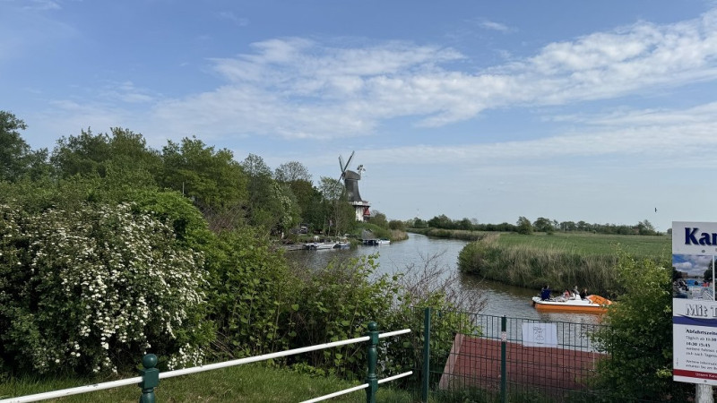 k-IMG_2222.jpg