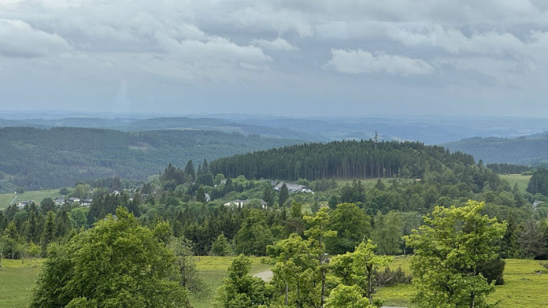 da65de1c3795ccb2-photo-w1200-h800.jpg