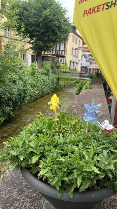 IMG_6200~photo-w1200-h800.jpg