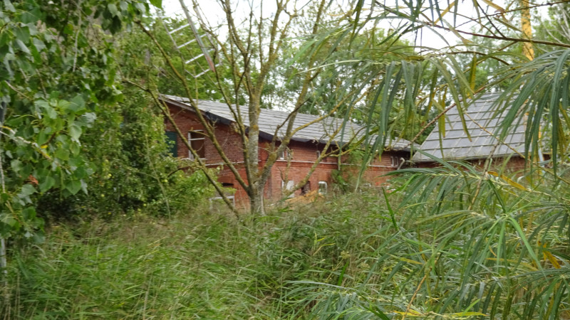 DSC00309.JPG